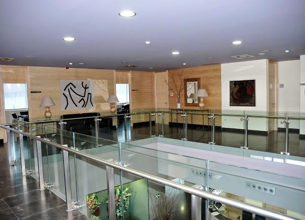 Imagen 24 Viveros Gimeno foto