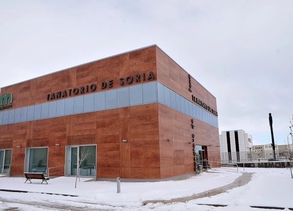 Imagen 26 Viveros Gimeno foto