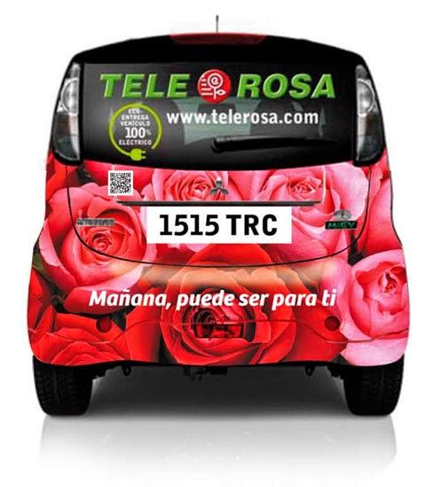 Imagen 110 TELE ROSA, Floristería Online. Flores a Domicilio. foto