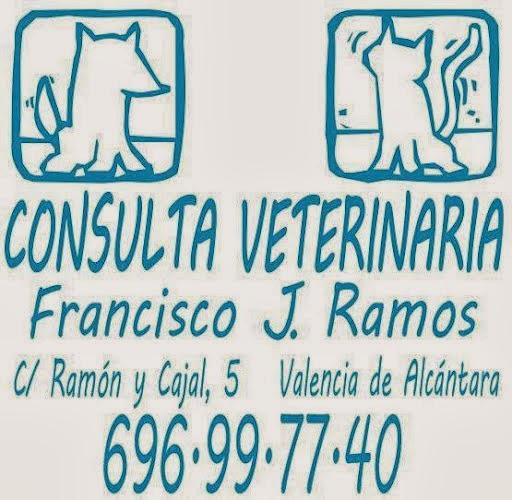 Imagen 109 Consulta Veterinaria Francisco J. Ramos foto