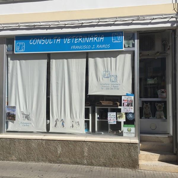 Imagen 57 Tienda Orange La Cañada Marbella foto