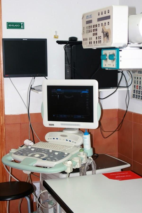 Imagen 66 Hostelería Intos S.L. foto