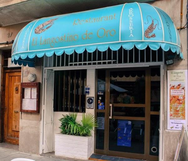 Imagen 4 Residencia Universitaria EMILIANI foto