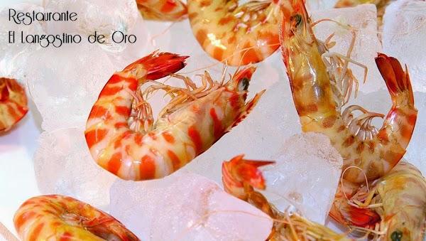 Imagen 5 Residencia Universitaria EMILIANI foto