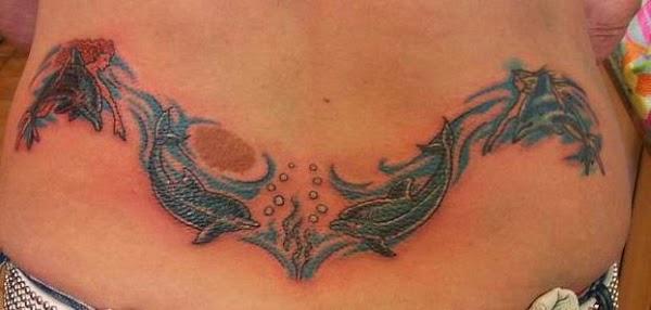 Imagen 30 LEUKA Acuarios y Estanques de Jardín foto