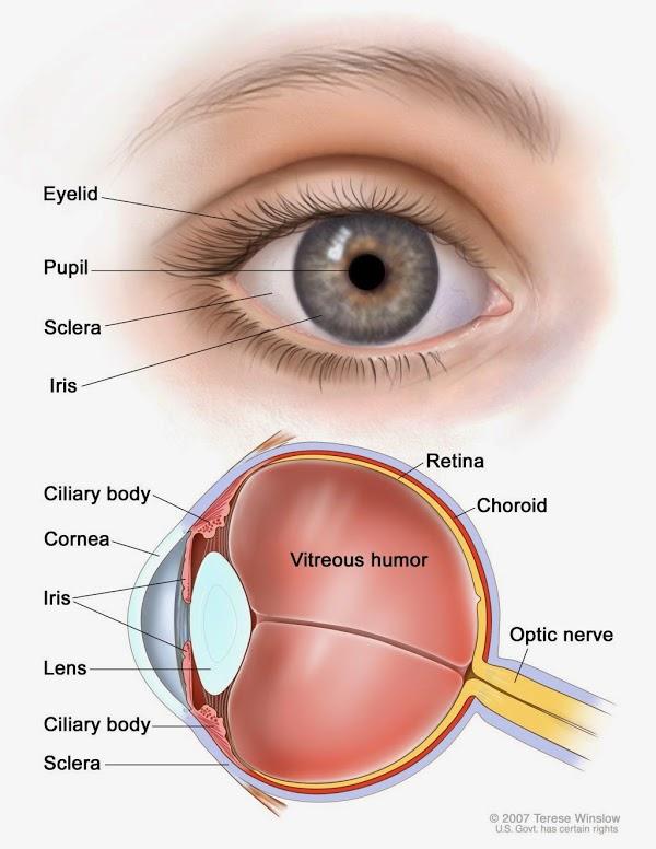 Imagen 22 Hotel Blue Sea Interpalace foto