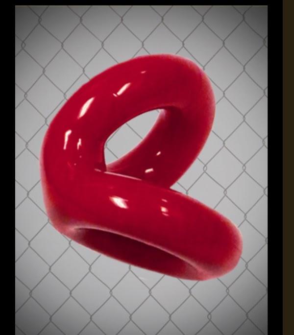 Imagen 13 Sepomex foto