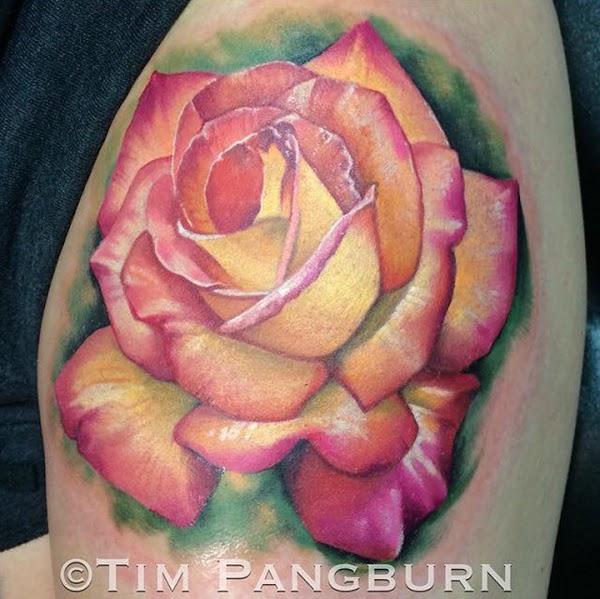 Imagen 8 Sepomex foto