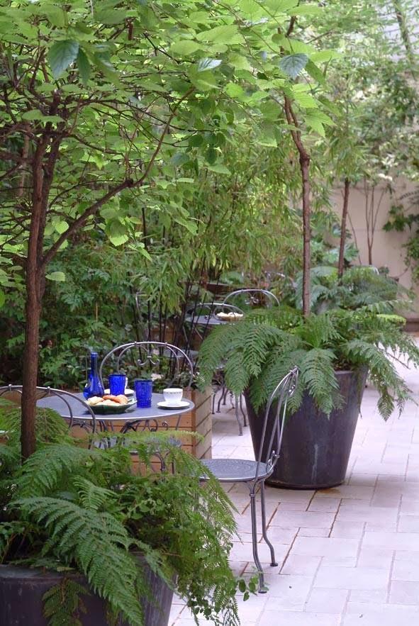 Imagen 4 ENRIQUE TOMAS - CC Via Sabadell foto