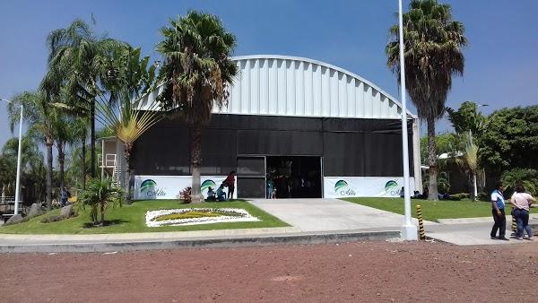 Imagen 58 Campamento Tierra Alta Morelos foto