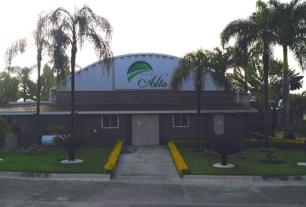 Imagen 67 Campamento Tierra Alta Morelos foto