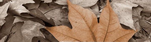 Imagen 24 Casa Bera foto