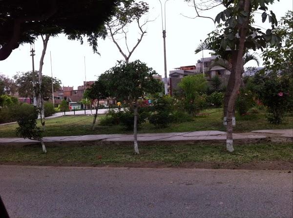 Imagen 1 Multiservicio León foto