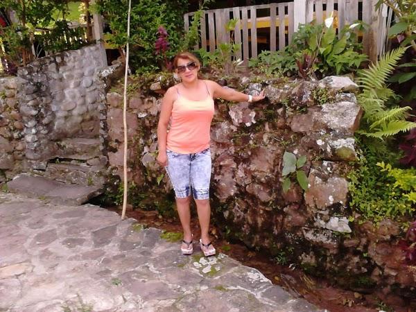 Imagen 4 Multiservicio León foto