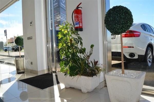 Imagen 44 O'Reilly Auto Parts foto