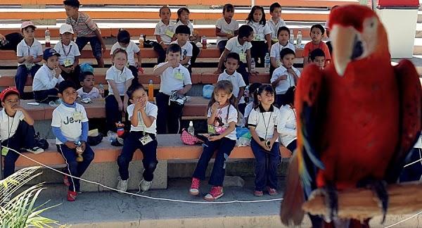 Imagen 87 Parroquia de San Juan Bosco foto