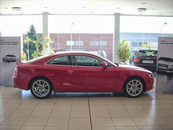 Imagen 3 Estudio Jurídico Bacotich Oliva foto