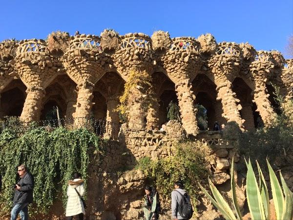 Imagen 112 Jardins del Turó del Putxet foto