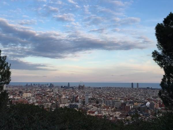 Imagen 165 Jardins del Turó del Putxet foto