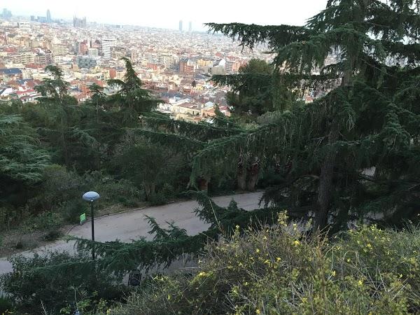 Imagen 180 Jardins del Turó del Putxet foto
