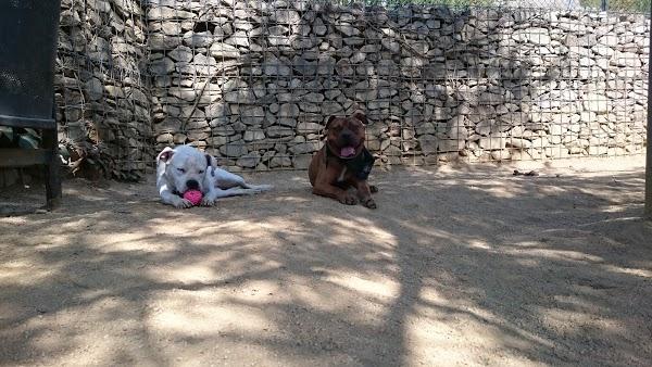 Imagen 188 Jardins del Turó del Putxet foto