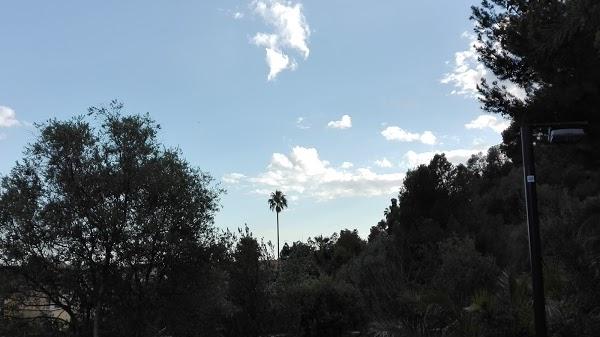 Imagen 189 Jardins del Turó del Putxet foto