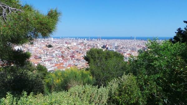 Imagen 21 Jardins del Turó del Putxet foto