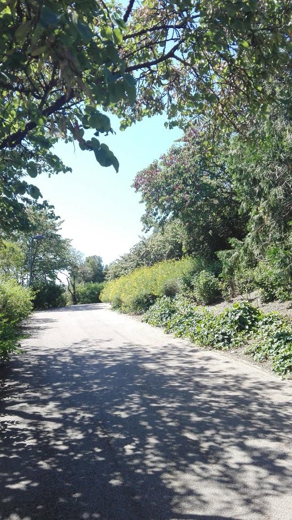 Imagen 205 Jardins del Turó del Putxet foto