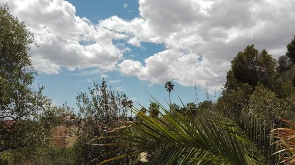 Imagen 274 Jardins del Turó del Putxet foto