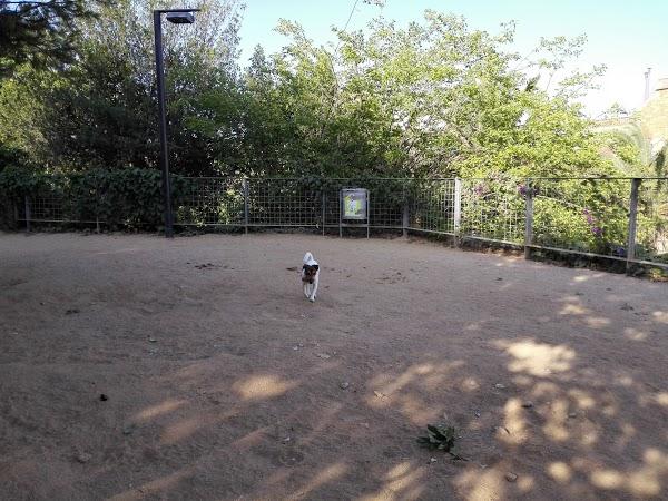 Imagen 276 Jardins del Turó del Putxet foto