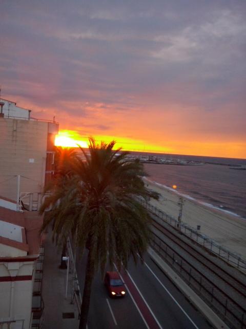 Imagen 461 Jardins del Turó del Putxet foto