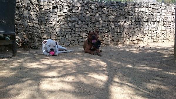 Imagen 569 Jardins del Turó del Putxet foto