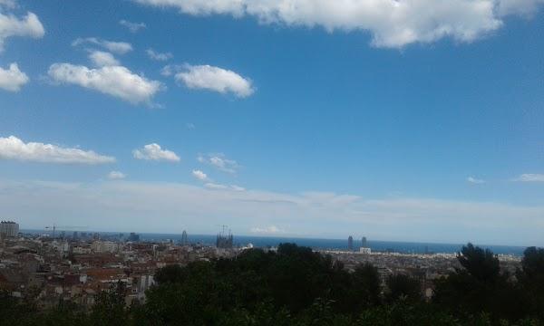 Imagen 570 Jardins del Turó del Putxet foto