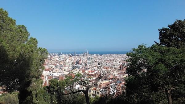 Imagen 638 Jardins del Turó del Putxet foto
