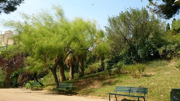 Imagen 657 Jardins del Turó del Putxet foto