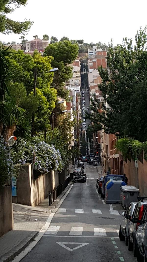 Imagen 686 Jardins del Turó del Putxet foto