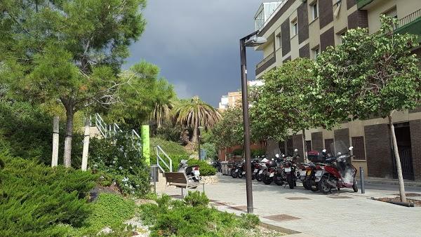 Imagen 718 Jardins del Turó del Putxet foto