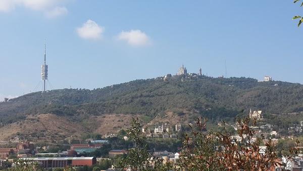 Imagen 736 Jardins del Turó del Putxet foto