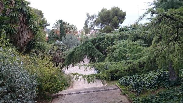 Imagen 746 Jardins del Turó del Putxet foto