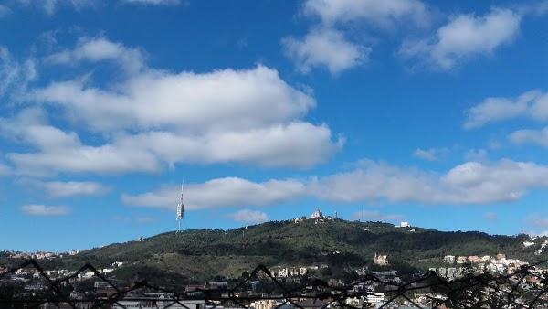 Imagen 785 Jardins del Turó del Putxet foto
