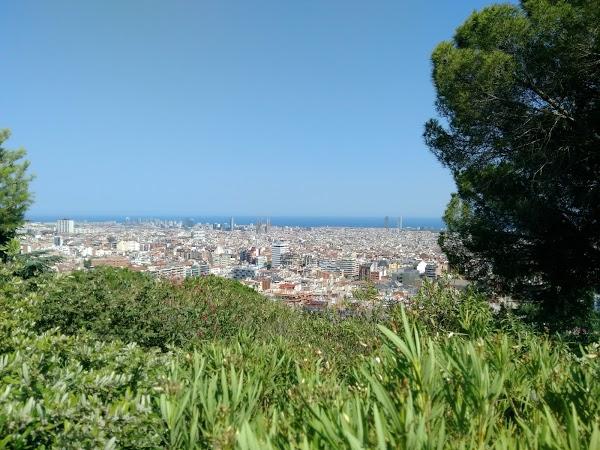 Imagen 811 Jardins del Turó del Putxet foto