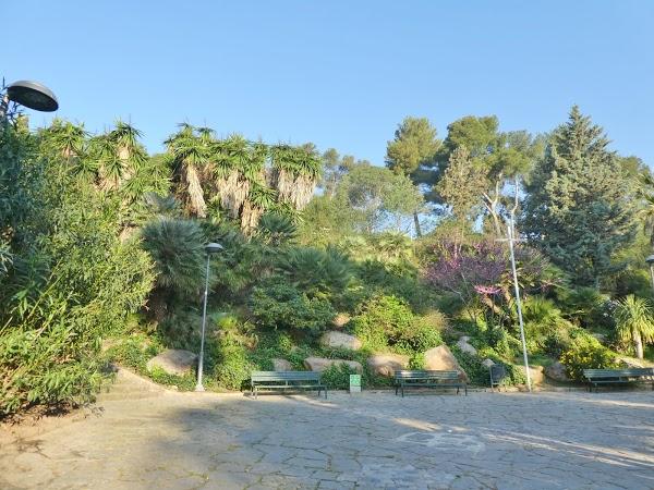 Imagen 823 Jardins del Turó del Putxet foto
