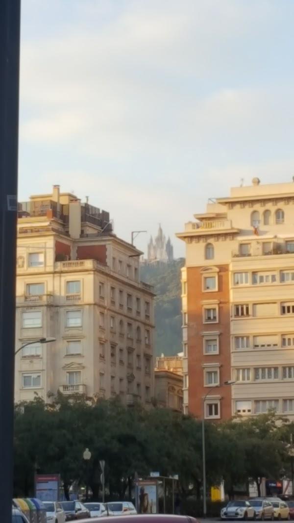 Imagen 831 Jardins del Turó del Putxet foto