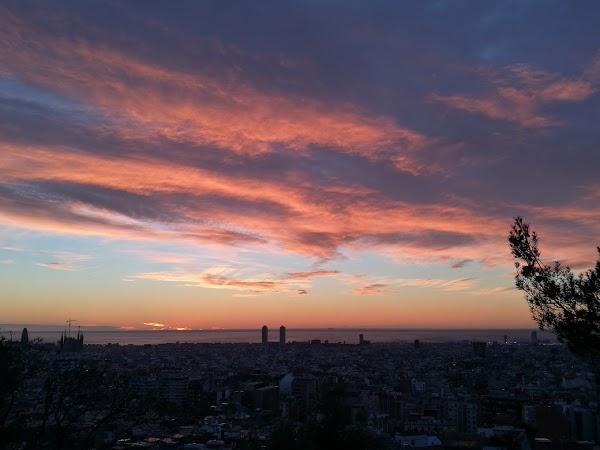 Imagen 867 Jardins del Turó del Putxet foto