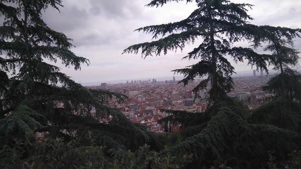 Imagen 871 Jardins del Turó del Putxet foto