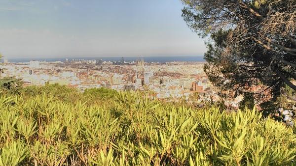 Imagen 898 Jardins del Turó del Putxet foto