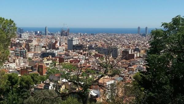 Imagen 922 Jardins del Turó del Putxet foto