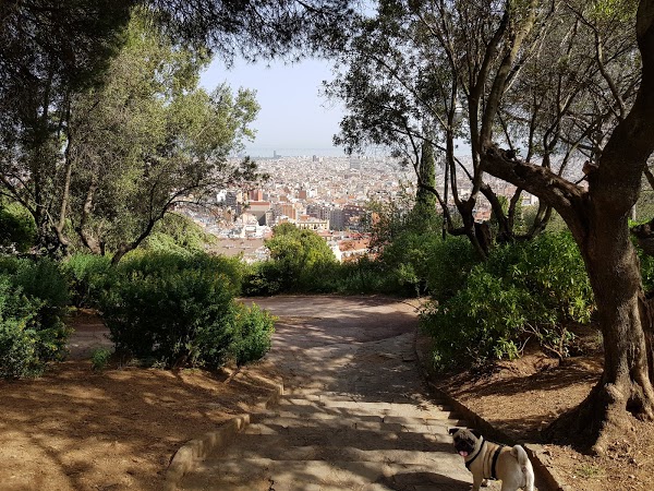 Imagen 964 Jardins del Turó del Putxet foto