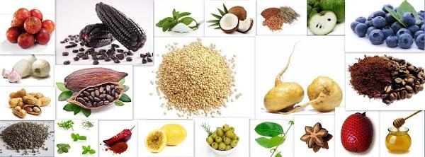 Imagen 84 Altemas E.I.R.L. foto