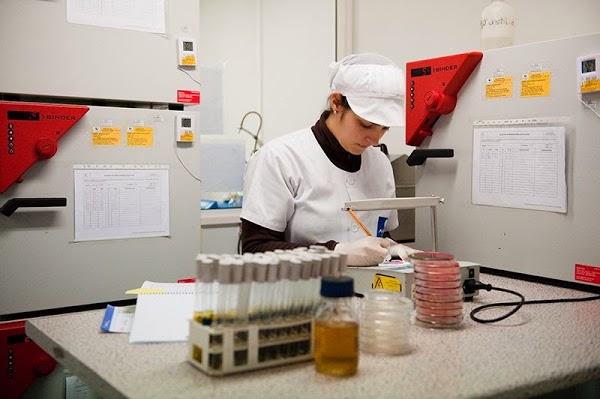 Imagen 85 Altemas E.I.R.L. foto